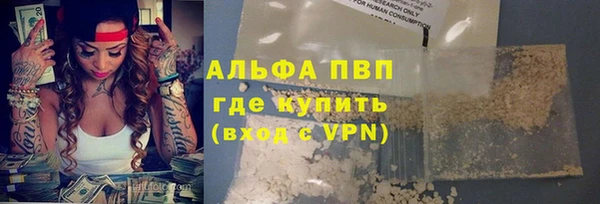 сатива Верхний Тагил