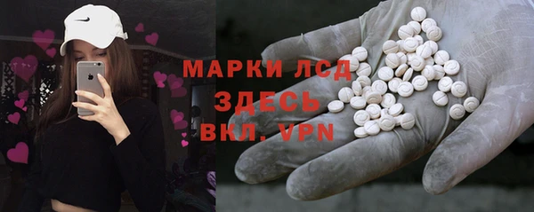 сатива Верхний Тагил