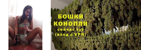 ПСИЛОЦИБИНОВЫЕ ГРИБЫ Верхнеуральск